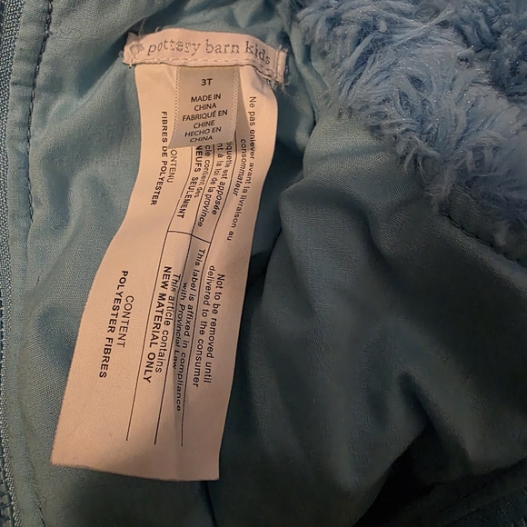 Pottery Barn Kids Sesame Street Cookie Monster Costume - Picture 7 of 7